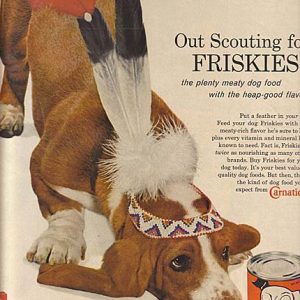 Friskies Ad 1960