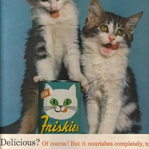 Friskies Canned Cat Food Ad 1963