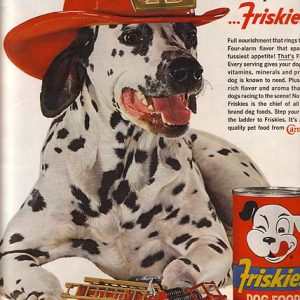 Friskies Dog Food Ad 1962
