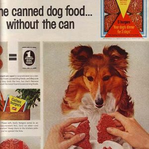 Gaines Burgers Dog Food 1964