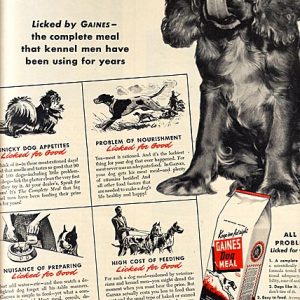 Gaines Dog Food Ad 1944