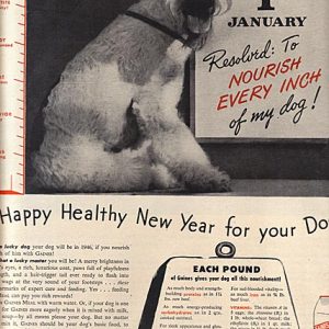 Berkshire Ad 1946 - Vintage Ads and Stuff