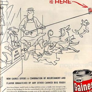 Gaines Dog Food Ad 1955