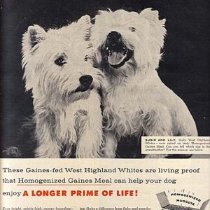 Gaines Dog Food Ad 1956