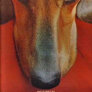 Gaines Dog Food Ad 1965