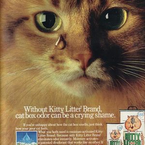 Kitty Litter Ad 1984
