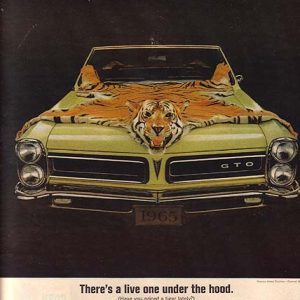 Pontiac GTO Convertible Ad 1965