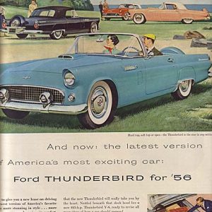 Ford Thunderbird Ad November 1955