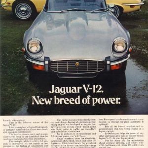 Jaguar Convertible Ad 1973