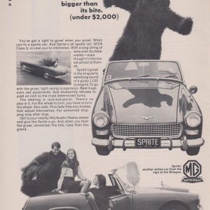 MG Ad November 1966