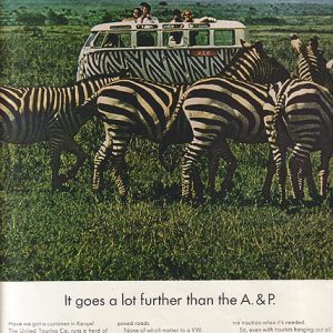 Volkswagen Bus Ad June 1967