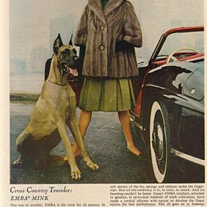 Emba Furs Ad November 1962