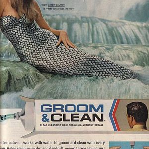 Groom & Clean Ad 1965