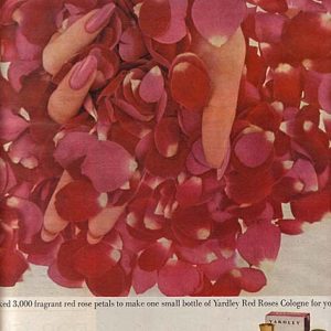 Yardley Ad 1961