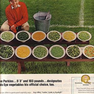 Birds Eye Ad 1966