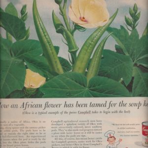 Campbell’s Ad April 1956