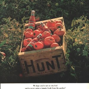 Hunt's Ad 1964