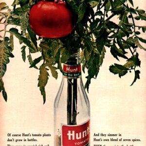 Hunt's Ad 1964 October