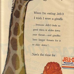 Jell-O Ad 1955