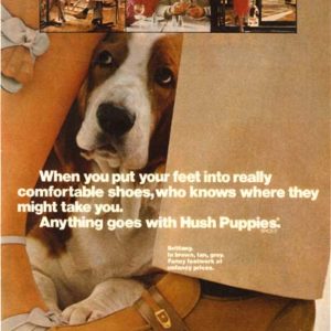 Hush Puppies Ad 1980