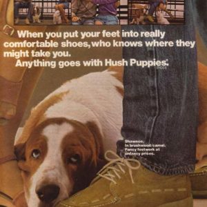 Hush Puppies Ad April 1980