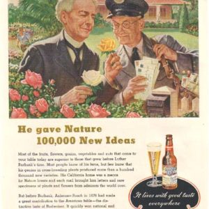 Budweiser Ad April 1948