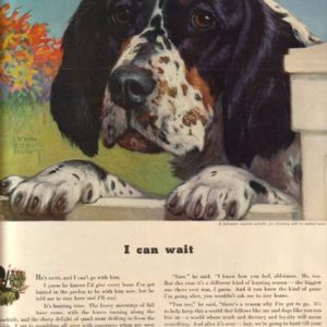 Lynn Bogue Hunt Sergeant's Dog Medicines Ad 1942