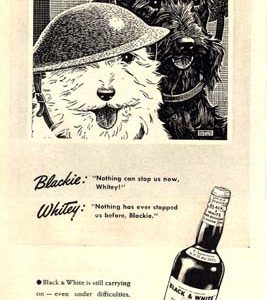 Black & White Scotch Whisky Ad 1942