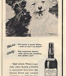 Black & White Scotch Whisky Ad 1946