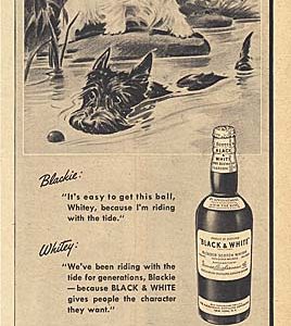 Black & White Scotch Whisky Ad 1947