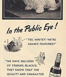 Black & White Scotch Whisky Ad 1953