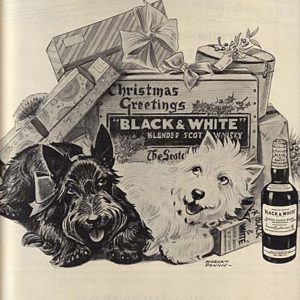 Black & White Scotch Whisky Ad 1955