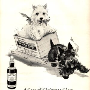 Black & White Scotch Whisky Ad 1956