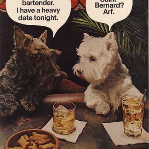 Black & White Scotch Whisky Ad 1974