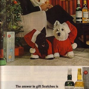 Black & White Scotch Whisky Ad December 1964