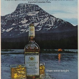 Canadian Mist Whiskey Ad 1979