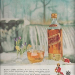 Johnnie Walker Scotch Whiskey Ad 1958