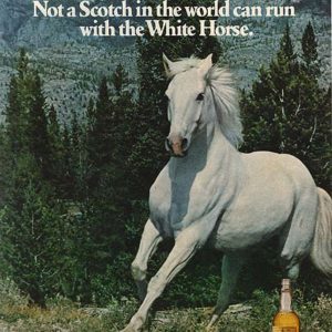 White Horse Scotch Whiskey Ad 1977