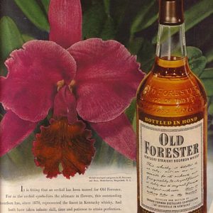 Old Forester Bourbon Whiskey Ad 1951