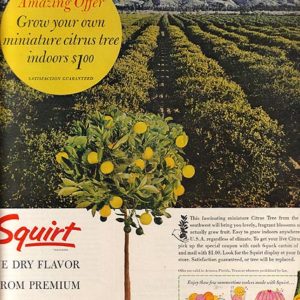 Squirt Ad July 1963