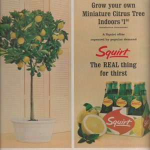 Squirt Ad July 1964