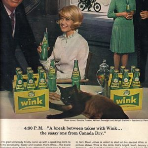 Wink Ad November 1965