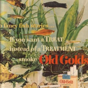 Old Gold Ad August 1950