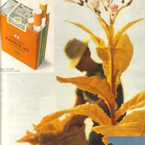 Ernte 23 Cigarettes Ad 1968