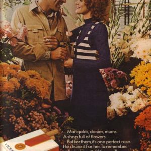 Viceroy Ad December 1971