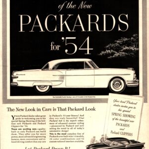 Packard Ad 1954