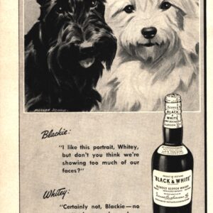 Black & White Scotch Whisky Ad 1947 February