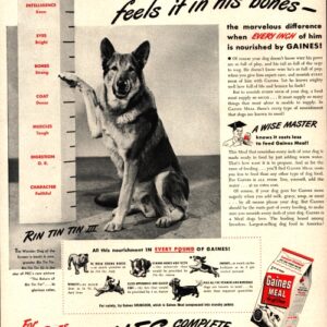 Gaines Dog Food Ad 1947