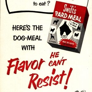 Swift's Pard Meal for Dogs Ad 1953