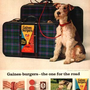 Gaines Dog Food Ad 1965 July
